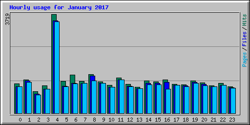 Hourly usage for January 2017