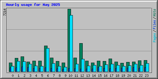 Hourly usage for May 2025