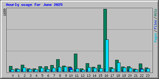 Hourly usage for June 2025