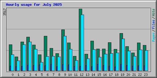 Hourly usage for July 2025