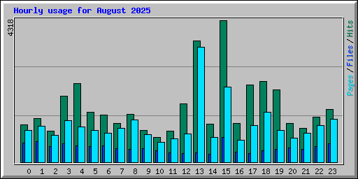 Hourly usage for August 2025